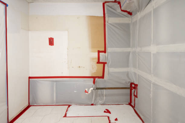 Best Water Damage & Mold Remediation  in Reform, AL