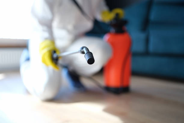 Best Mold Prevention Services  in Reform, AL